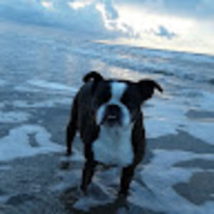 Meet your Posher, Hurricane laura